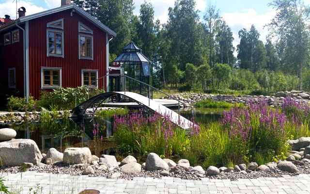 Växtlighet